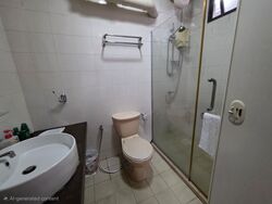 Blk 14 BOON KENG VILLE (Kallang/Whampoa), HDB 5 Rooms #521800541